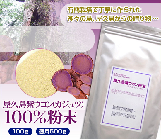 屋久島紫ウコン(ガジュツ)100%粉末